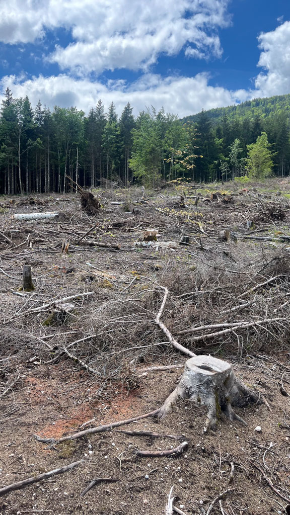 Broyage pour gravière.
